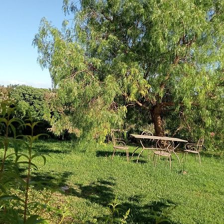 Agriturismo Podere Gianmaria Кастильончело Екстериор снимка