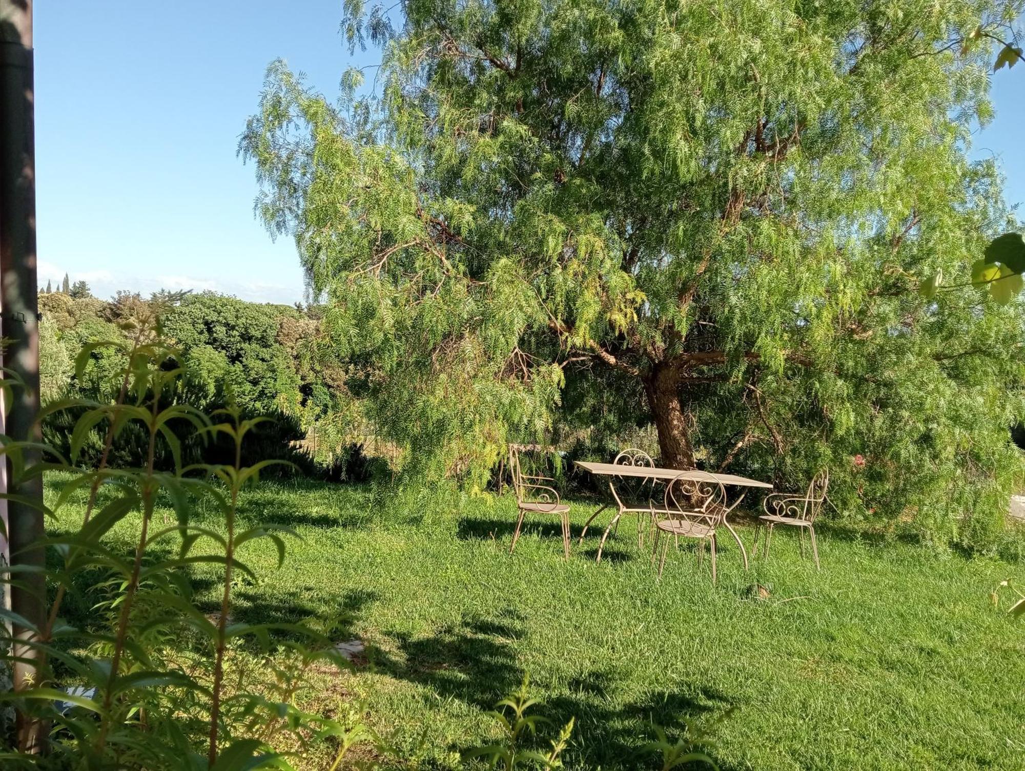Agriturismo Podere Gianmaria Кастильончело Екстериор снимка