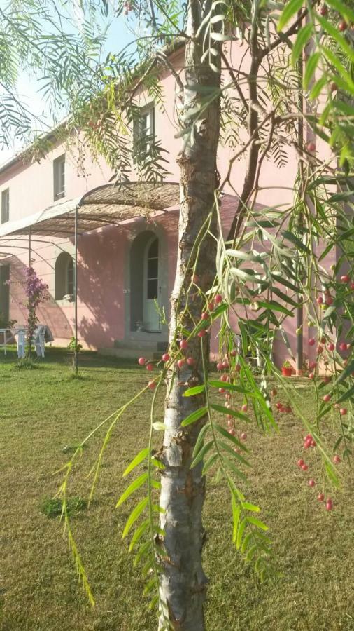 Agriturismo Podere Gianmaria Кастильончело Екстериор снимка